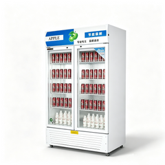 Hot Sale R20-2A Commercial Upright Beverage Cooler Display Fridge Glass Door Drink Refrigerator