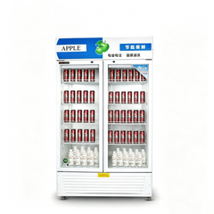 Hot Sale R20-2A Commercial Upright Beverage Cooler Display Fridge Glass Door Drink Refrigerator
